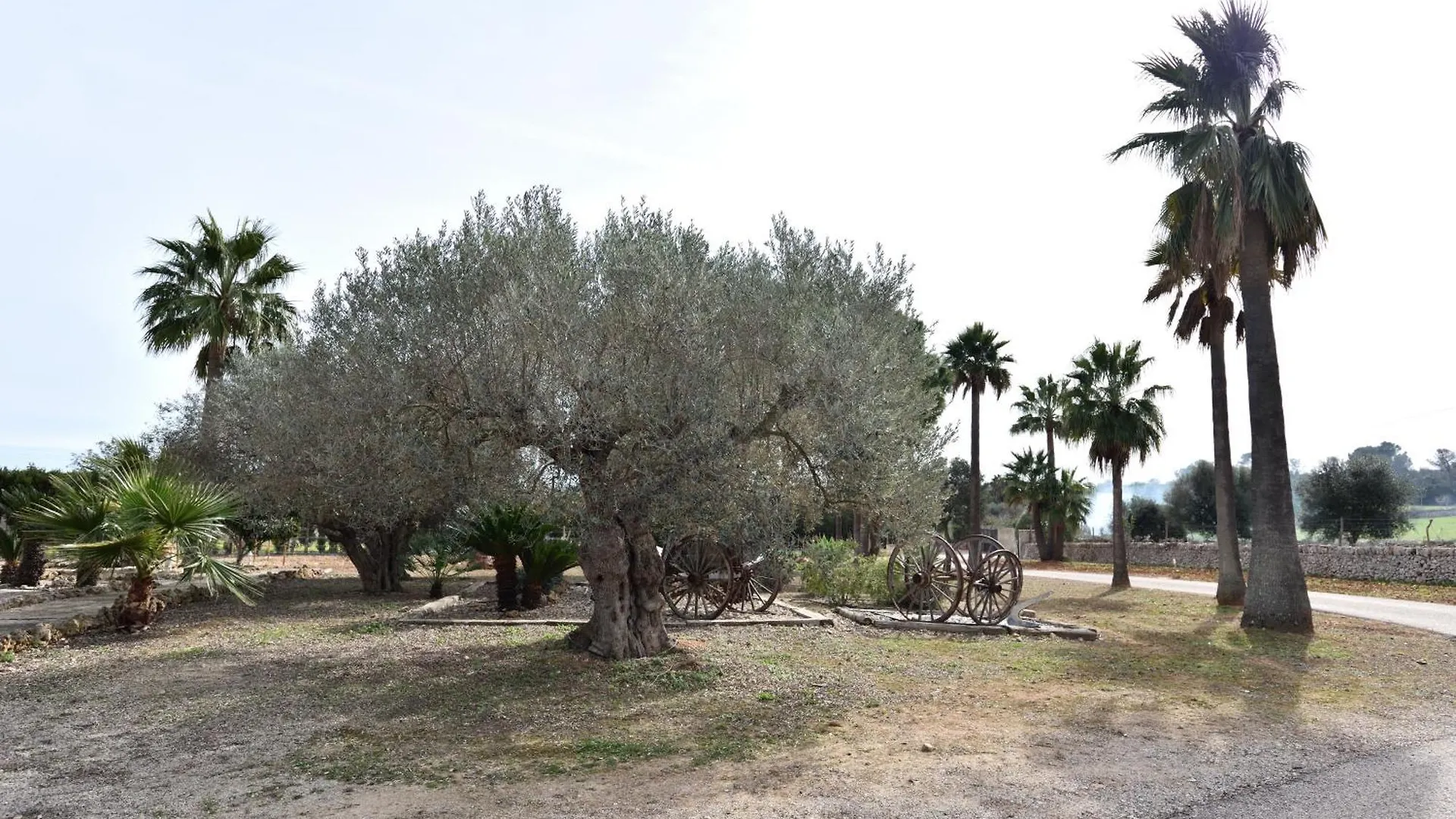 Willa Sa Tanca Gran Sineu
